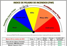 Índice de peligro de incendios: del 28 al 29 de octubre de 2025